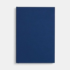 Ежедневник Flat, недатированный, синий