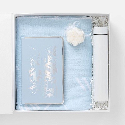 Набор «Контуры зимы»