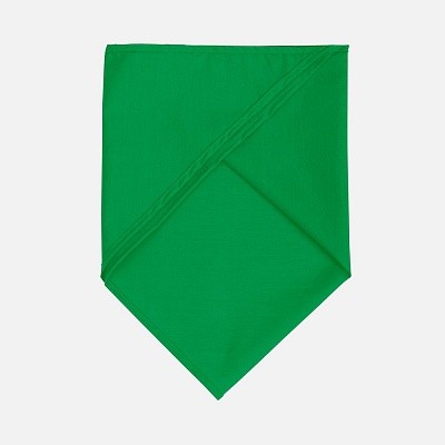 Шейный платок Bandana