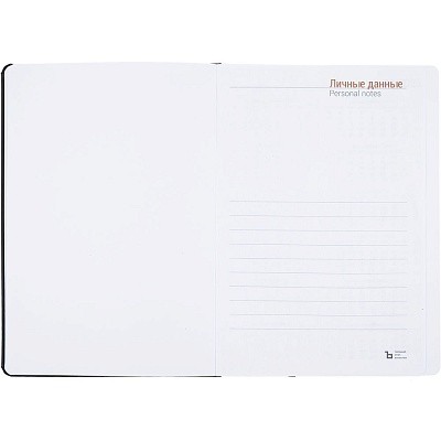 Ежедневник Basis, датированный