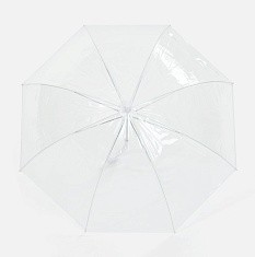 Прозрачный зонт-трость Clear