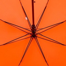 Зонт-трость Standard