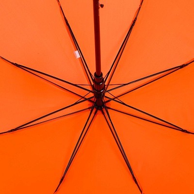 Зонт-трость Standard