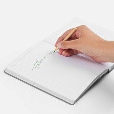 Набор цветных карандашей Pencilvania Mini