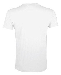 Футболка мужская Regent Fit 150
