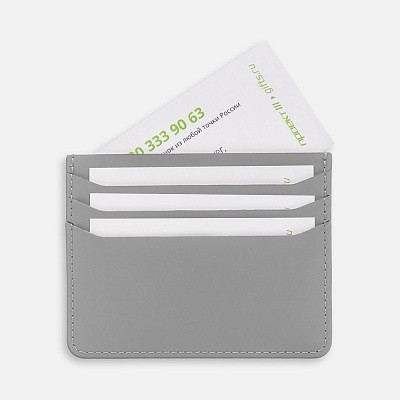 Чехол для карт Alaska