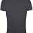 Футболка мужская Regent Fit 150