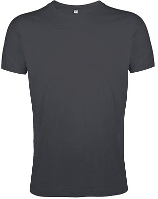 Футболка мужская Regent Fit 150