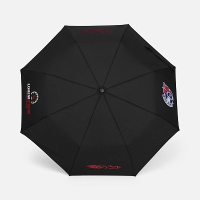 Зонт складной Big Arc