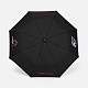 Зонт складной Big Arc