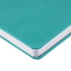 Ежедневник Base Mini, недатированный