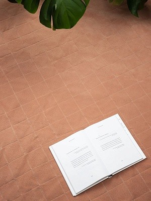 Плед для пикника Soft & Dry 2