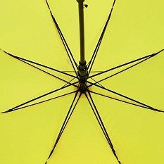 Зонт-трость Standard